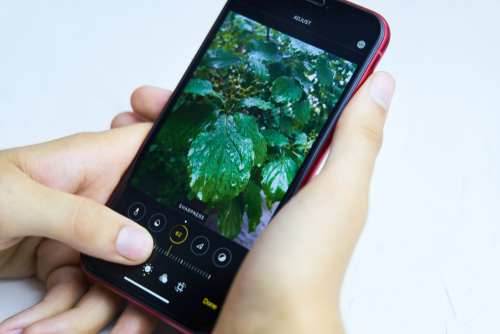 Editing Photos On Your Mobile Device